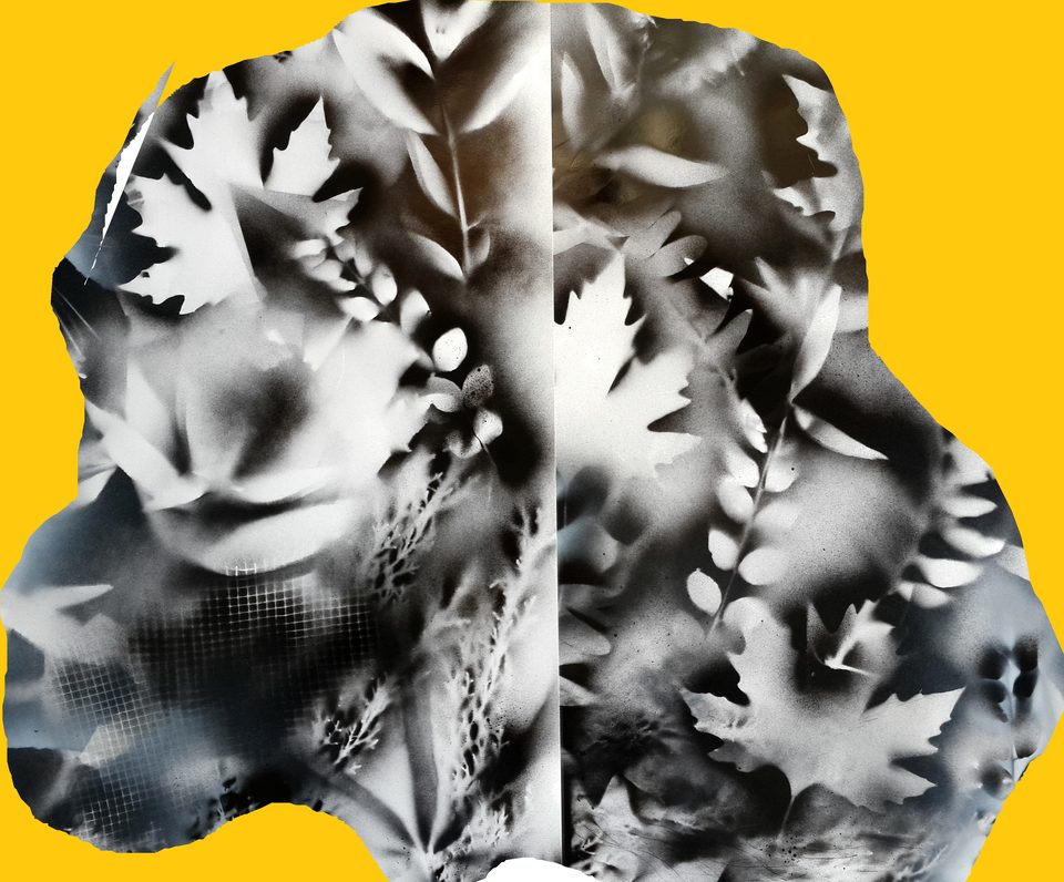 Kağıt Üzerine Sprey Boya, Dijital Çalışma 'Yamuk' 70x100 cm 2014