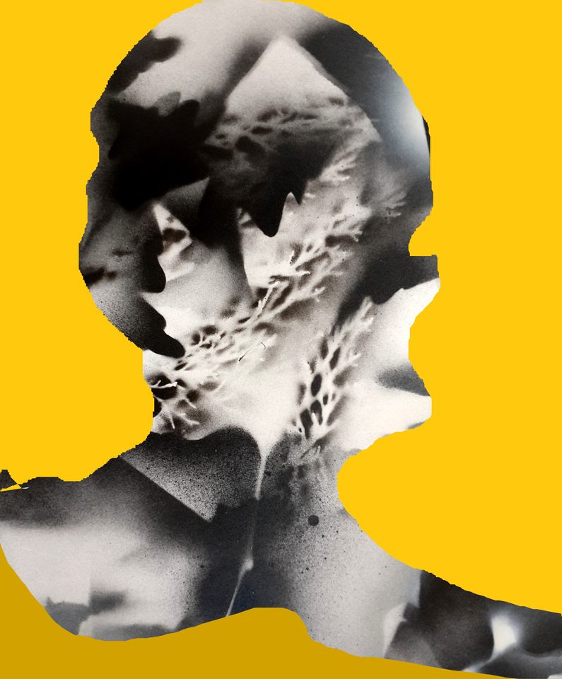 Kağıt Üzerine Sprey Boya, Dijital Çalışma 'Sarı Kuş Kafesi '100x70 cm 2014