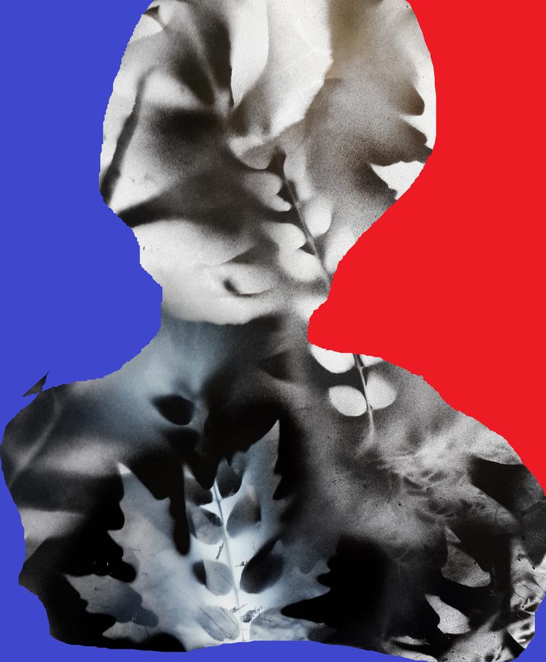 Kağıt Üzerine Sprey Boya, Dijital Çalışma 'Kuş Kafesi' 70x100 cm 2014