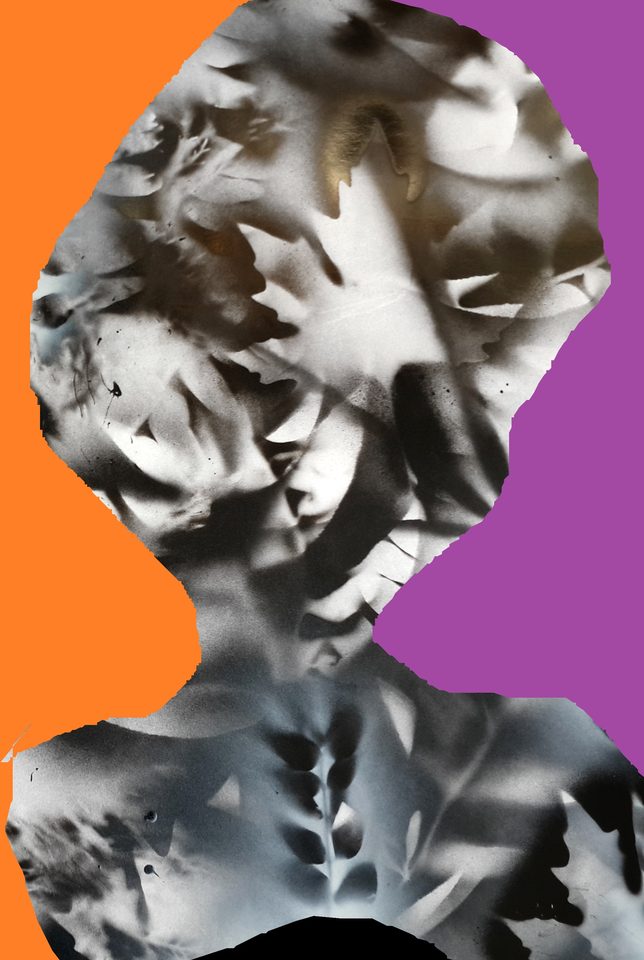 Kağıt Üzerine Sprey Boya, Dijital Çalışma 'Yanlız Bir' 70x100 cm 2014