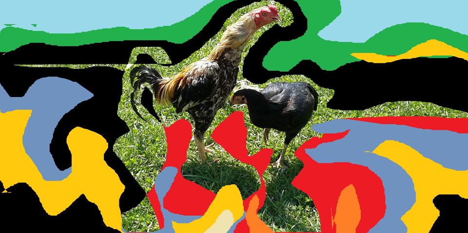 Bitpazarı Eskişehir 2014 “Gölge”