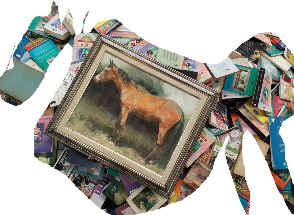 Bitpazarı Eskişehir 2014 'Kağıttan At