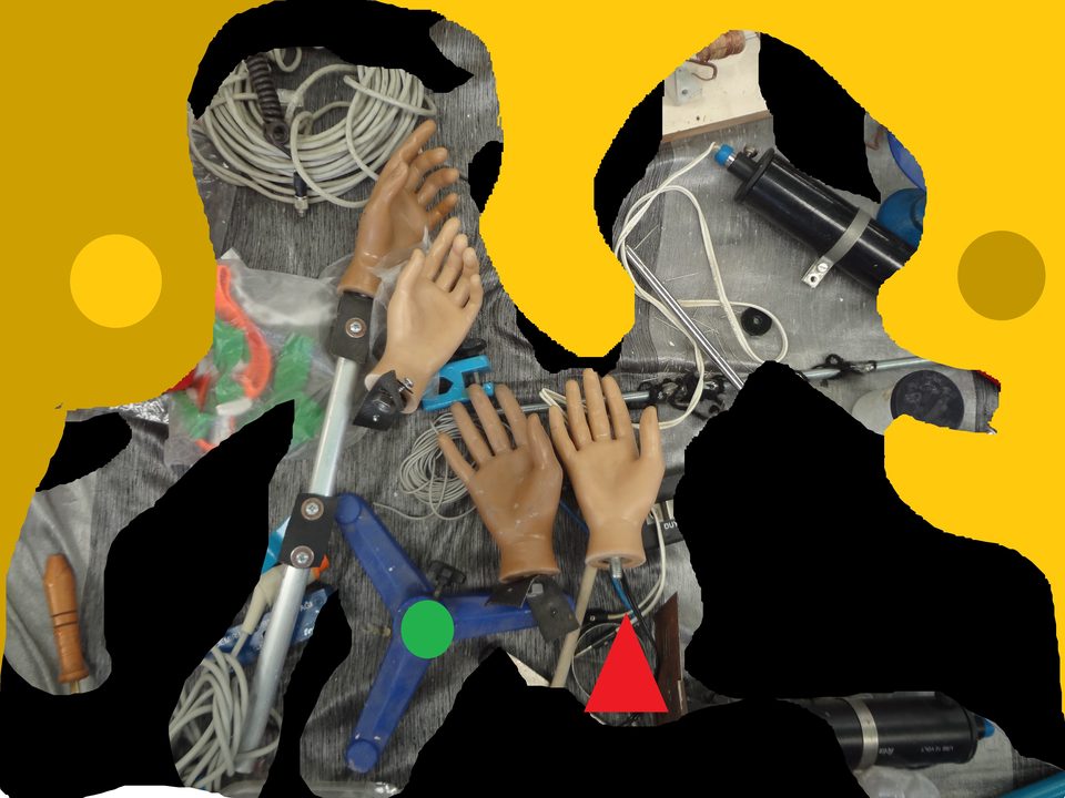 Eskişehir Bitpazarı 2013 “Manken Elleri”